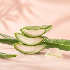 Aloe Barbadensis aloe vera